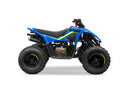 2025 CF Moto CFORCE 110 EFI-2