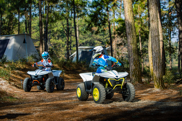 2025 CF Moto CFORCE EV110