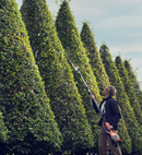 Husqvarna Stånghäcksax 520IHT4-3