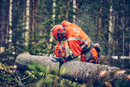 Husqvarna 560 XP G MARK II CHAINSAW 15"-2