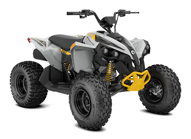 2025 Can-AM Renegade 110 EFI