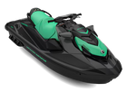 Eclipse Black / Laguna Green