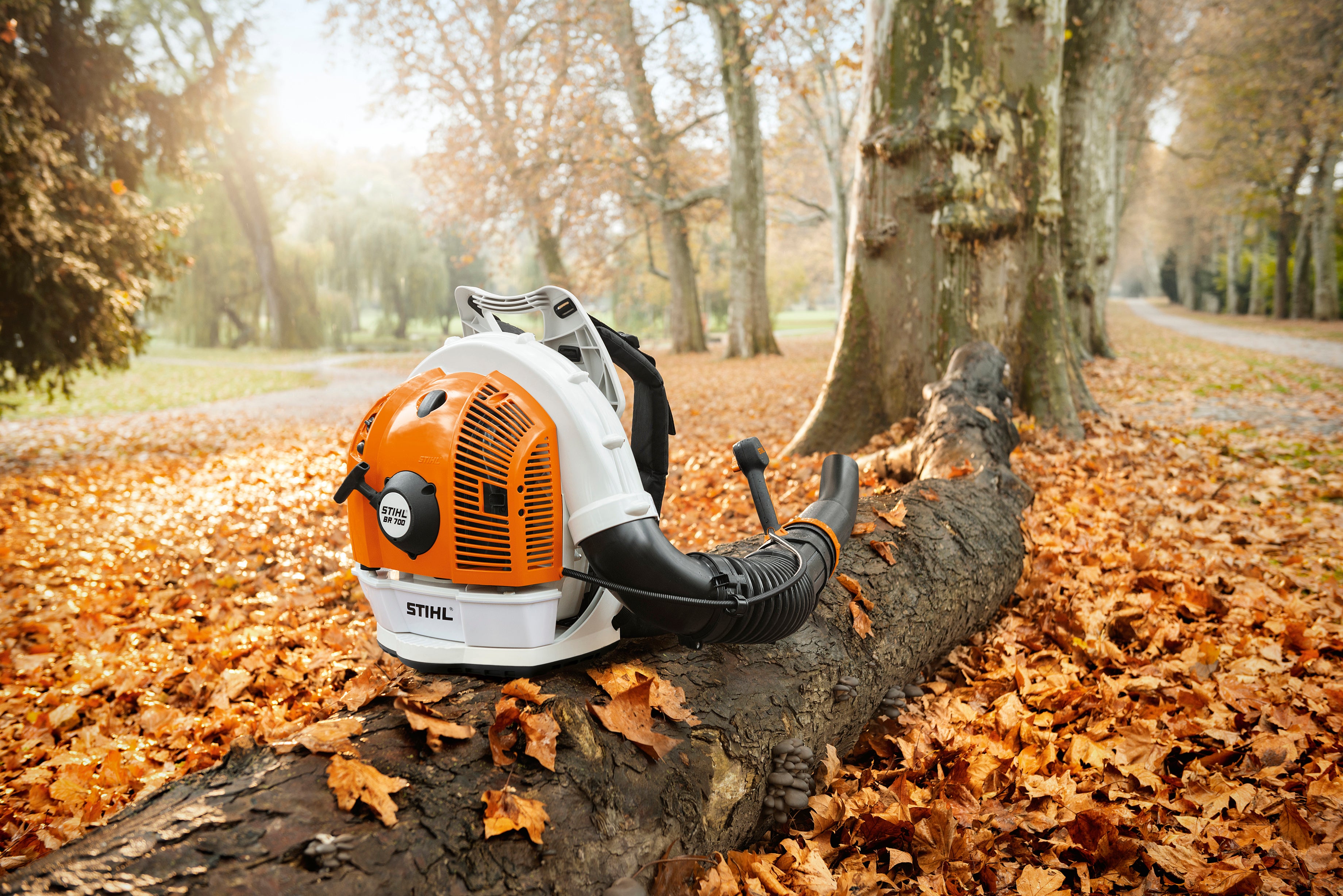 Stihl BR 700