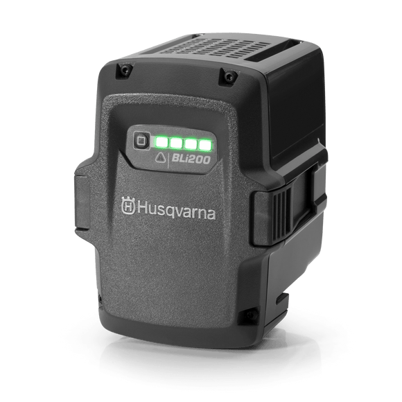 Batteri BLi200